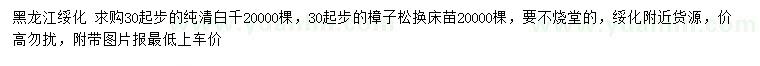 求購(gòu)30公分起步純清白千、樟子松