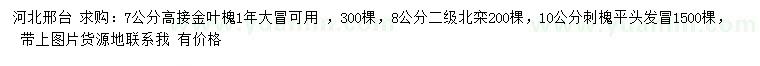 求購高接金葉槐、北欒、刺槐