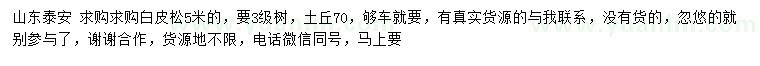 求購5米白皮松