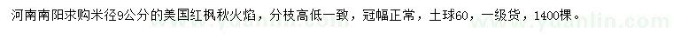 求購(gòu)米徑9公分美國(guó)紅楓秋火焰