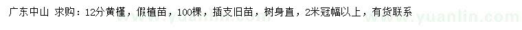 求購12公分黃槿