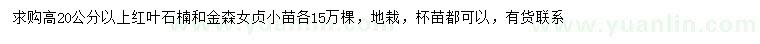 求購高20公分以上紅葉石楠、金森女貞