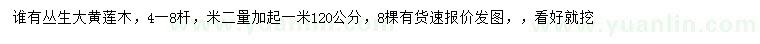 求購叢生大黃蓮木