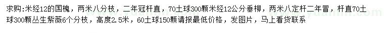 求購(gòu)國(guó)槐、垂柳、叢生紫薇