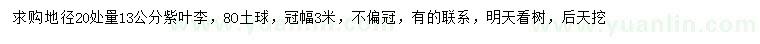 求購(gòu)地徑20量13公分紫葉李=