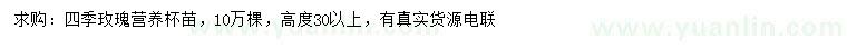 求購高30公分以上四季玫瑰