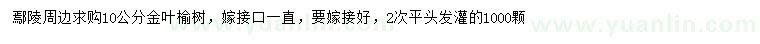求購10公分金葉榆