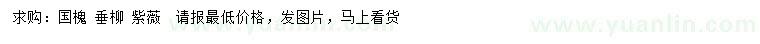 求購(gòu)國(guó)槐、垂柳、紫薇