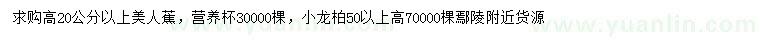 求購高20公分以上美人蕉、50公分以上小龍柏