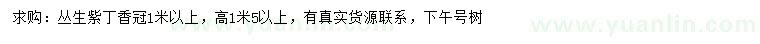 求購(gòu)冠幅1、1.5米以上叢生紫丁香