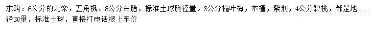 求購北欒、五角楓、白臘等