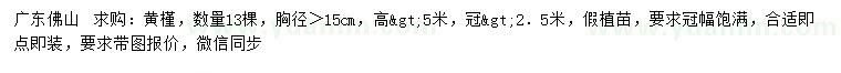 求購胸徑15公分以上黃槿
