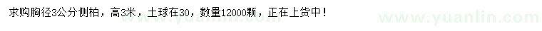 求購胸徑3公分側(cè)柏