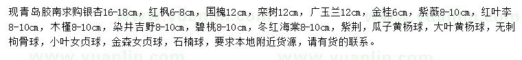 求購銀杏、紅楓、國槐等