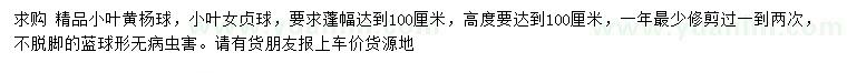 求購(gòu)蓬幅100公分精品小葉黃楊球、小葉女貞球