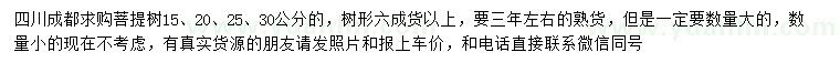 求購15、20、25、30公分菩提樹