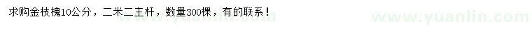 求購10公分金枝槐