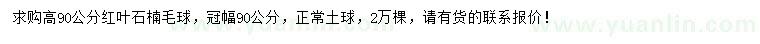求購(gòu)高90公分紅葉石楠毛球
