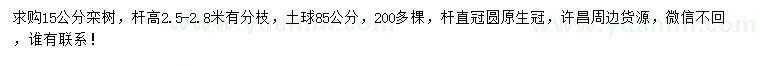 求購(gòu)15公分欒樹