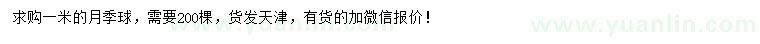 求購(gòu)1米月季球