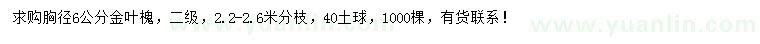 求購胸徑6公分金葉槐