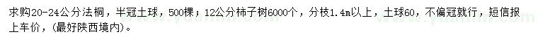 求購20-24公分法桐、12公分柿子樹(shù)