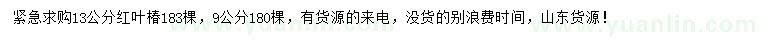 求購9、13公分紅葉椿
