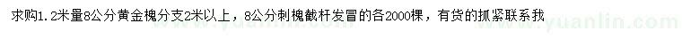 求購(gòu)1.2米量8公分黃金槐、刺槐