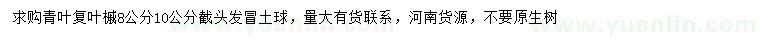 求購8、10公分青葉復葉槭