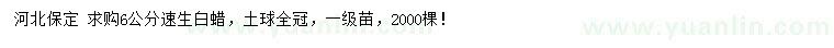 求購6公分速生白蠟
