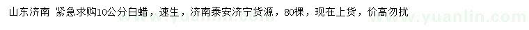求購(gòu)10公分白蠟