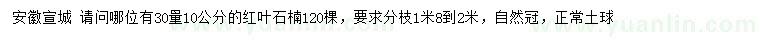 求購30量10公分紅葉石楠