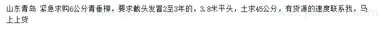 求購6公分青垂柳