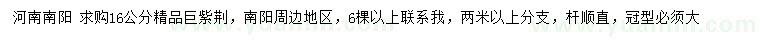 求購16公分精品巨紫荊