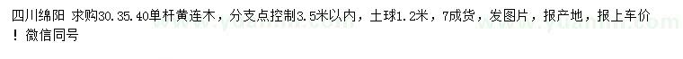 求購30、35、40公分單桿黃連木