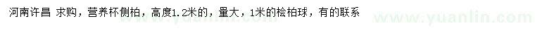 求購高度1.2米側(cè)柏