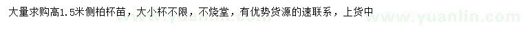 求購(gòu)高1.5米側(cè)柏
