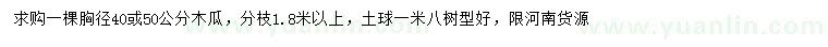 求購胸徑40或50公分木瓜
