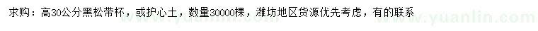 求購(gòu)高30公分黑松