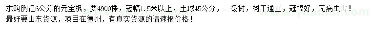 求購胸徑6公分元寶楓