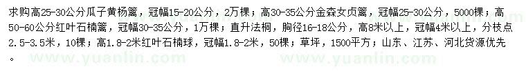 求購瓜子黃楊籬、金森女貞籬、紅葉石楠籬等
