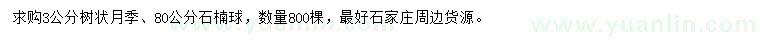 求購3公分樹狀月季、80公分石楠球