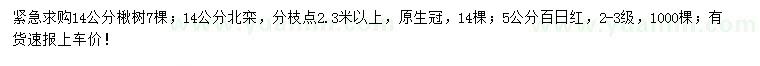 求購(gòu)楸樹、北欒、百日紅