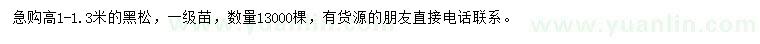 求購(gòu)高1-1.3米黑松