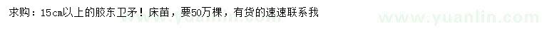 求購(gòu)15公分以上膠東衛(wèi)矛