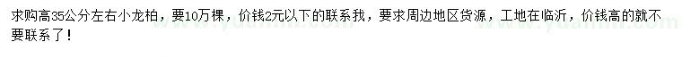 求購高35公分左右小龍柏