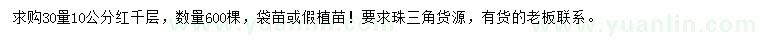 求購30量10公分紅千層
