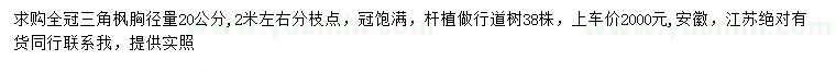 求購胸徑20公分三角楓