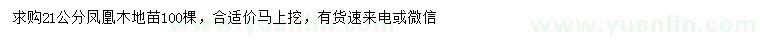 求購(gòu)21公分鳳凰木