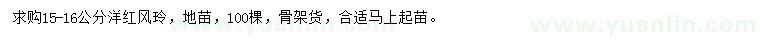 求購15-16公分洋紅風玲